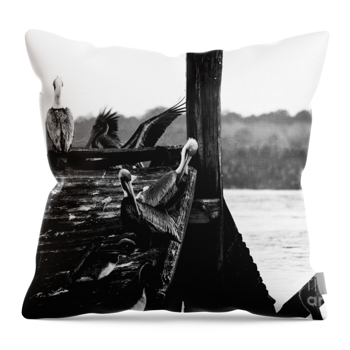 Apalachicola Throw Pillow featuring the photograph Pelicans by Alys Caviness-Gober