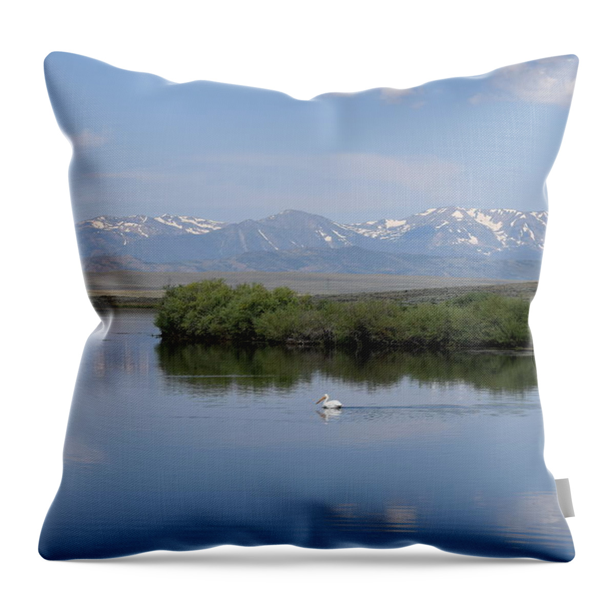Animal Throw Pillow featuring the photograph Pelicans Walden Res Walden CO by Margarethe Binkley