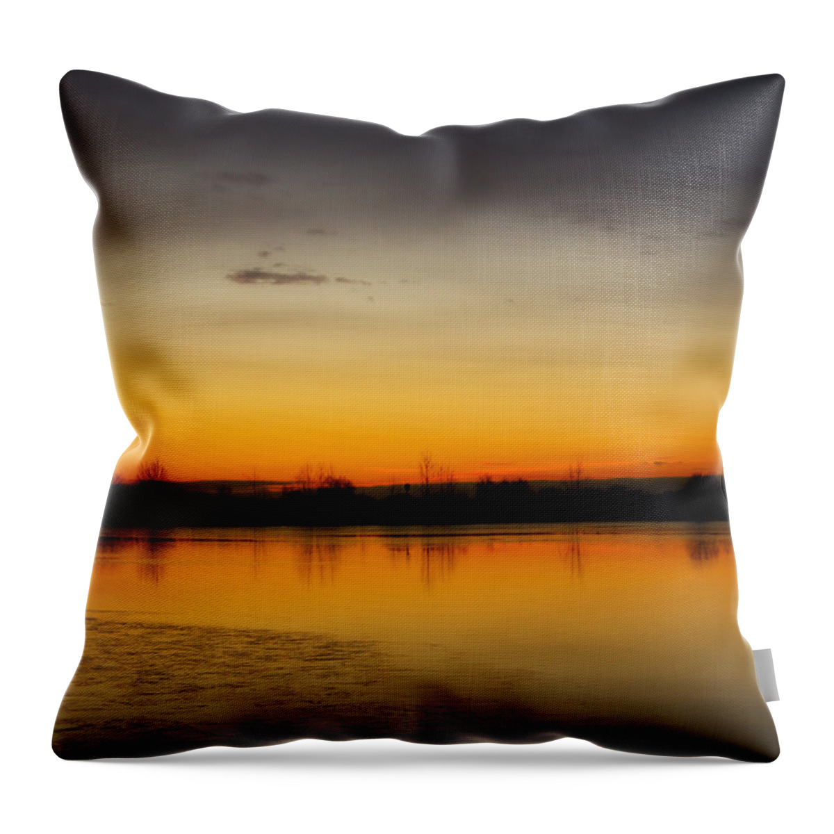 Pella Ponds Throw Pillow featuring the photograph Pella Ponds December 16th Sunrise by James BO Insogna