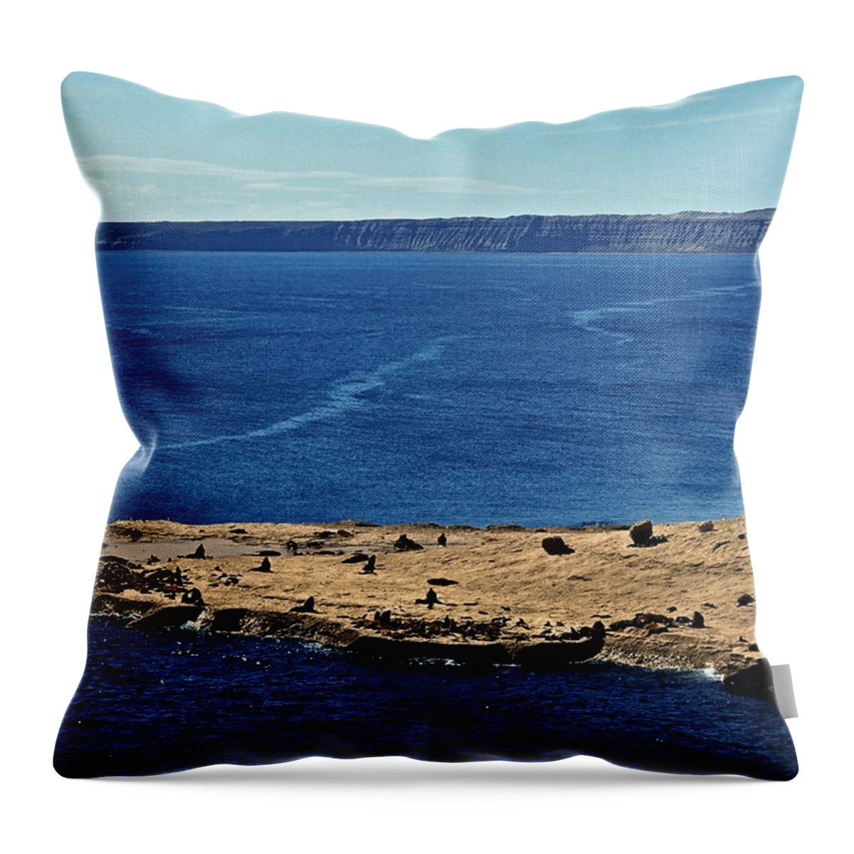 South America Throw Pillow featuring the photograph Peninsula de Valdez by Juergen Weiss