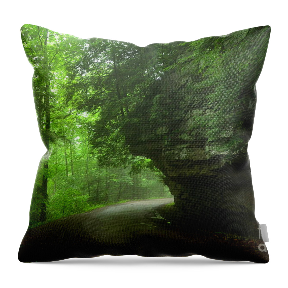 Green Throw Pillow featuring the photograph Pennsylvania Mountain Scene - 3 by Bob Sample