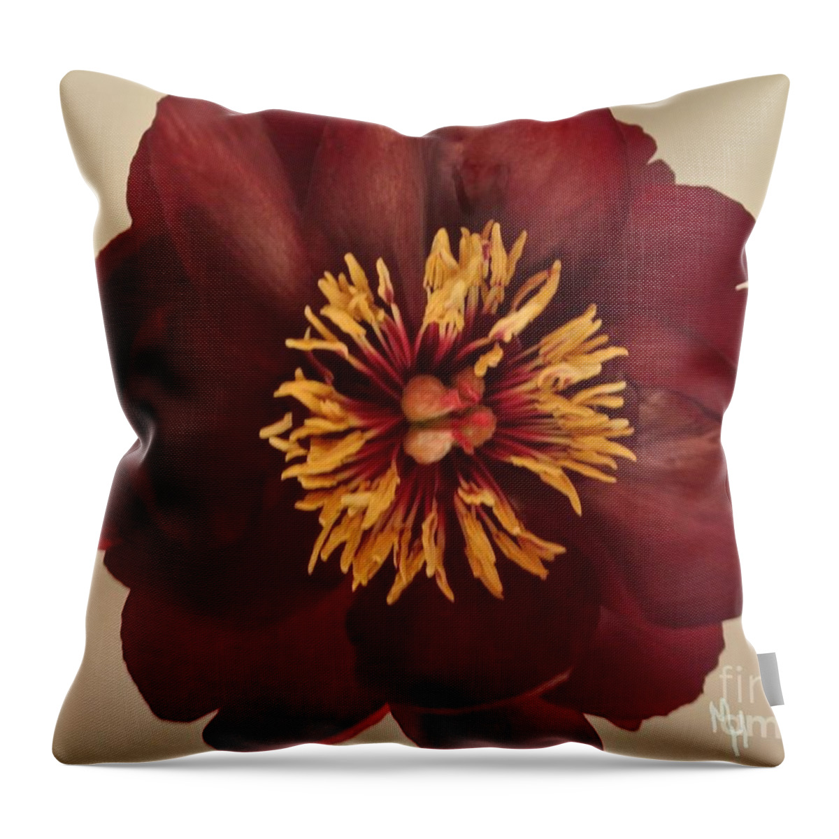 Photo Throw Pillow featuring the photograph Penny Peony by Marsha Heiken
