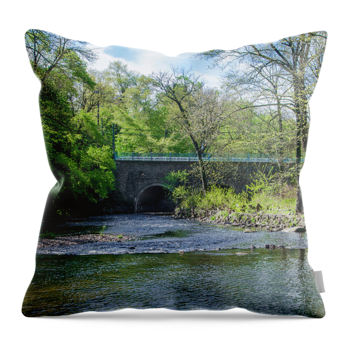 Pennypack Throw Pillow featuring the photograph Pennypack Creek Bridge Built 1697 by Bill Cannon