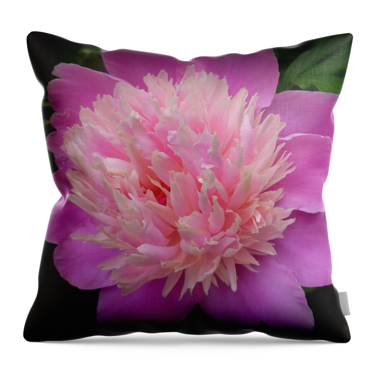 Beauty Throw Pillow featuring the photograph Peony Bowl of Beauty by Lingfai Leung