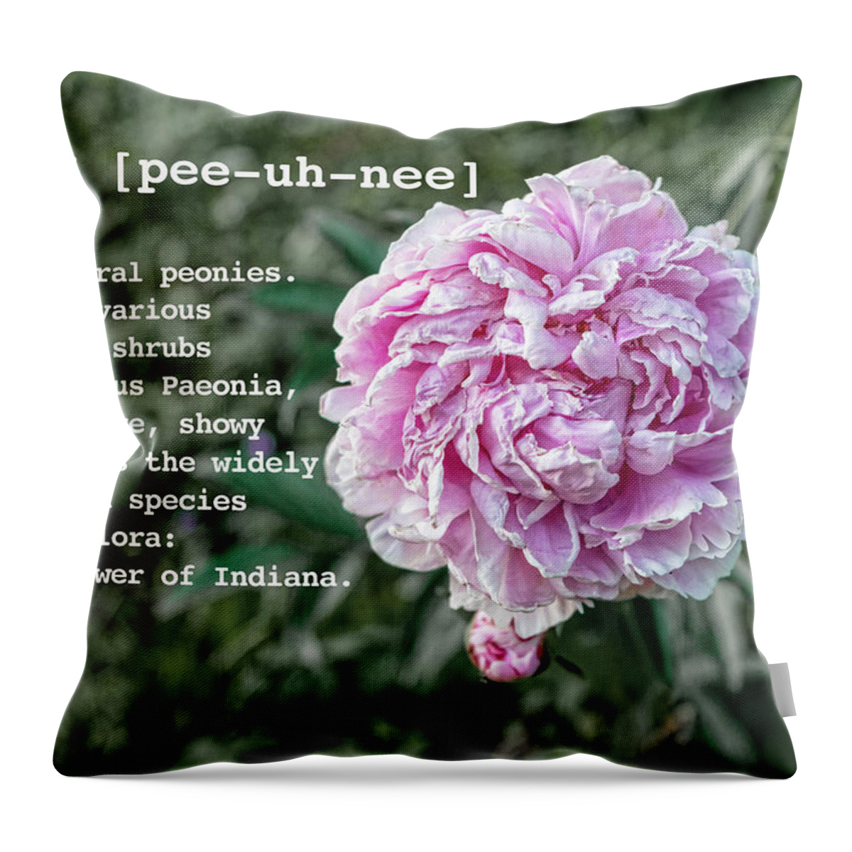 Peony By Definition Throw Pillow featuring the photograph Peony by Definition by Sharon Popek