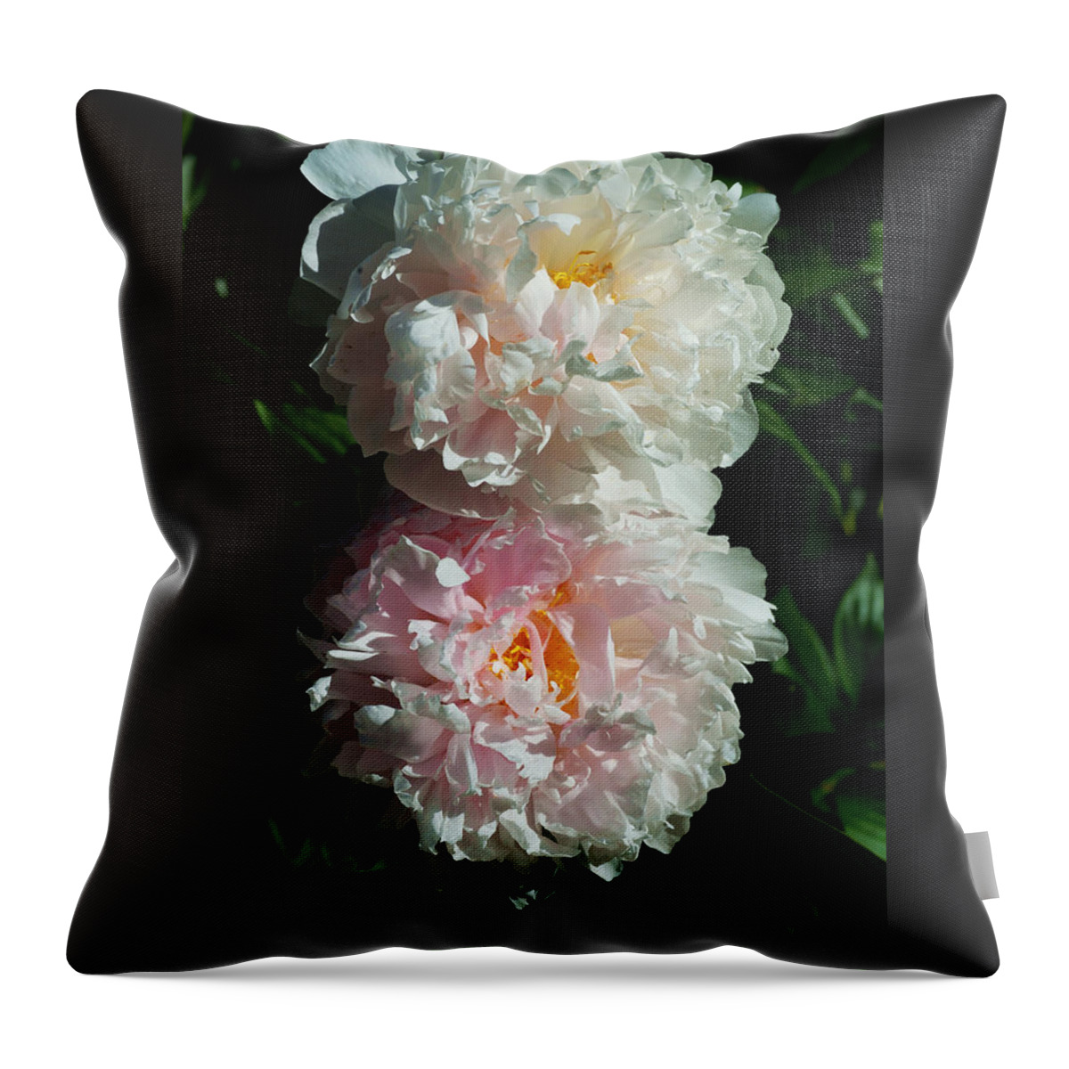 Peony Flower Throw Pillow featuring the photograph Peony Duo by Kae Cheatham