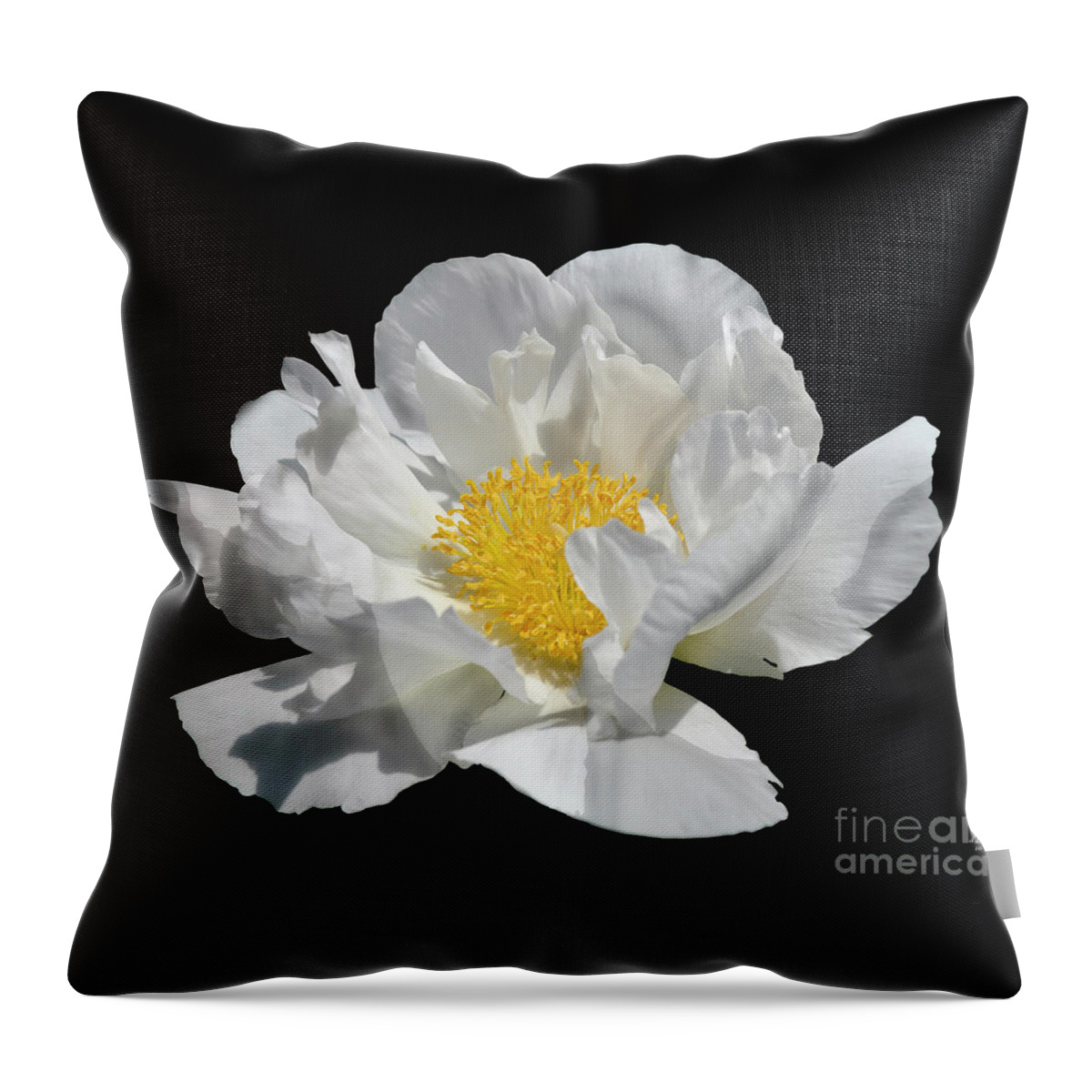 Diane Berry Throw Pillow featuring the photograph Peony June by Diane E Berry