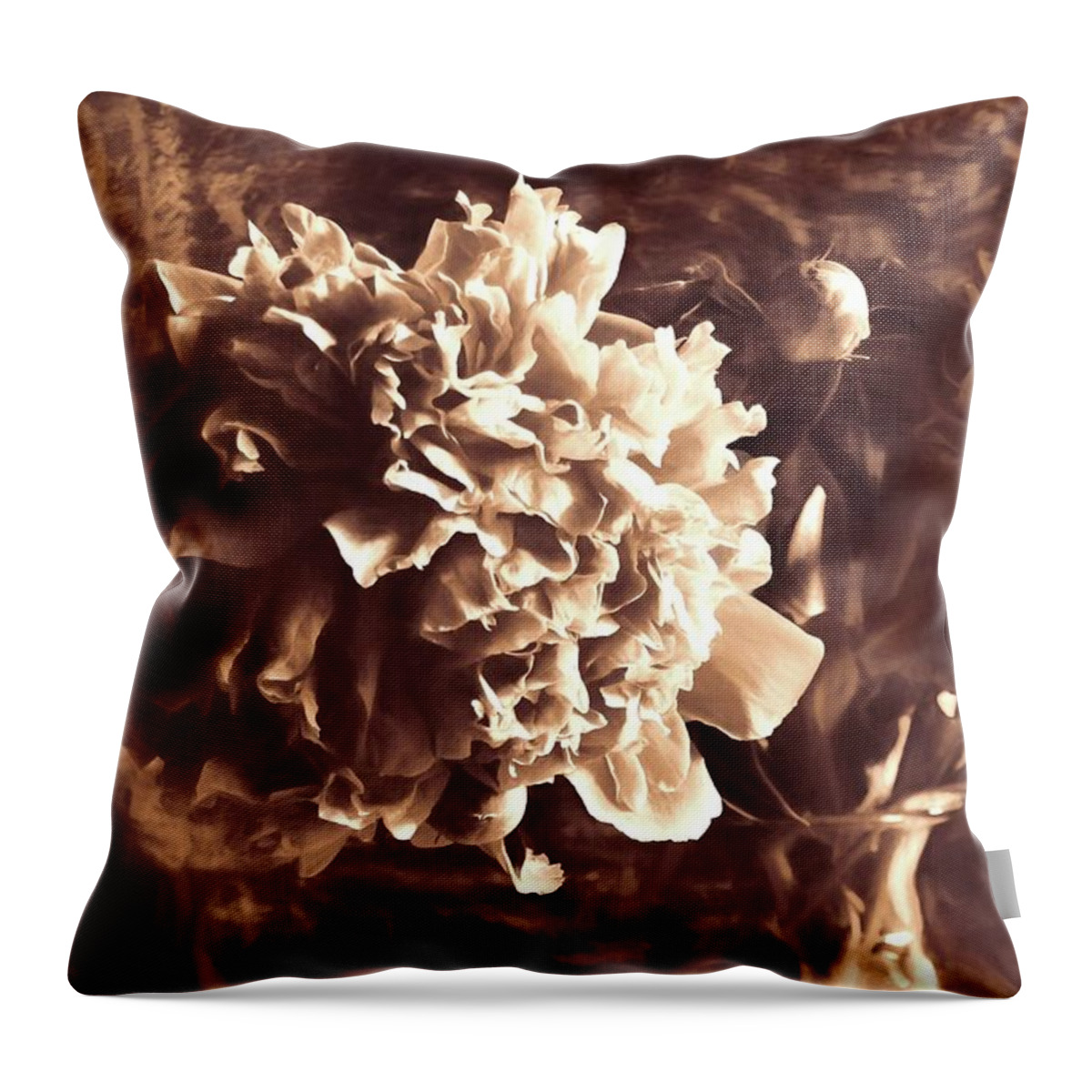 Peony Throw Pillow featuring the photograph Peony - Late Afternoon by Kathy Bassett