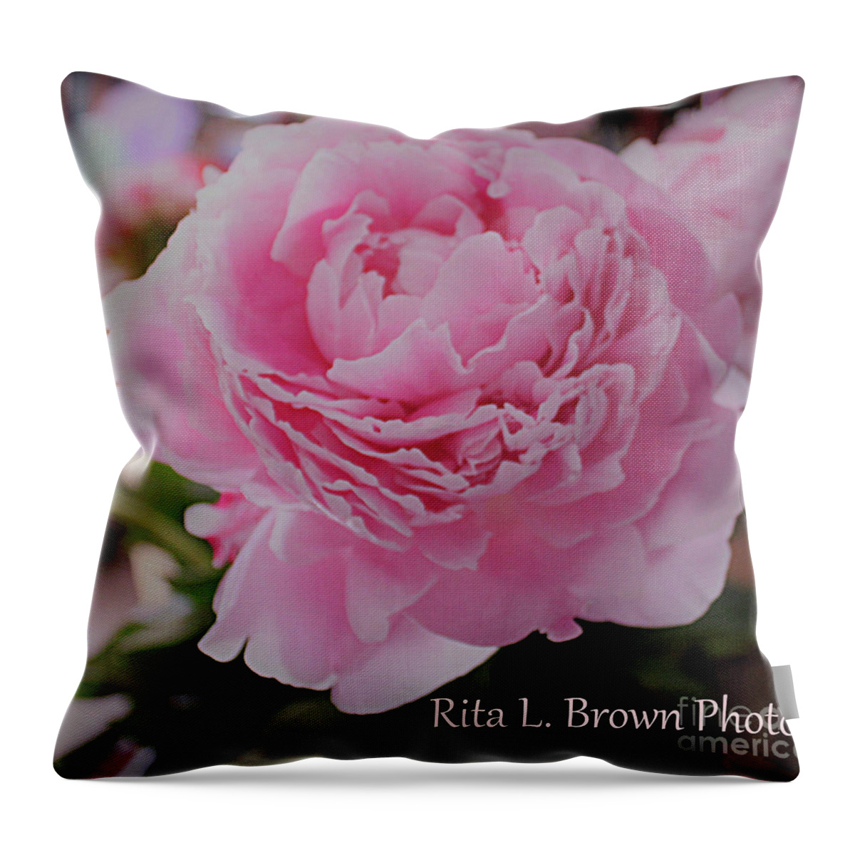 Peony Throw Pillow featuring the photograph Peony Pink Petals by Rita Brown