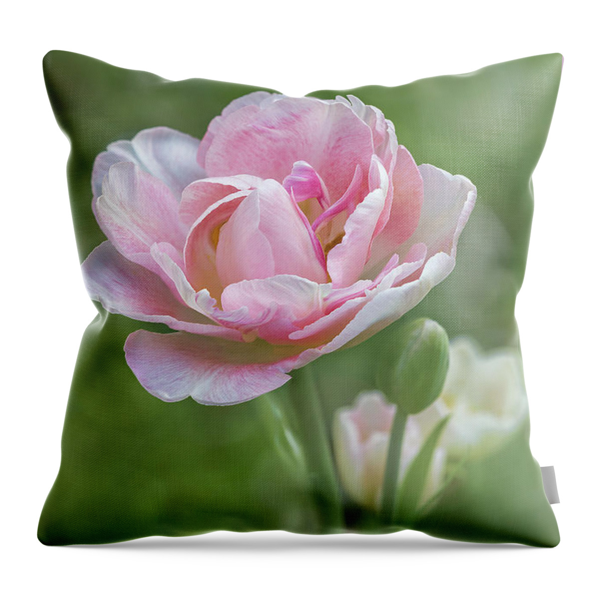 Flower Throw Pillow featuring the photograph Peony Tulip - Vertical Texture by Patti Deters
