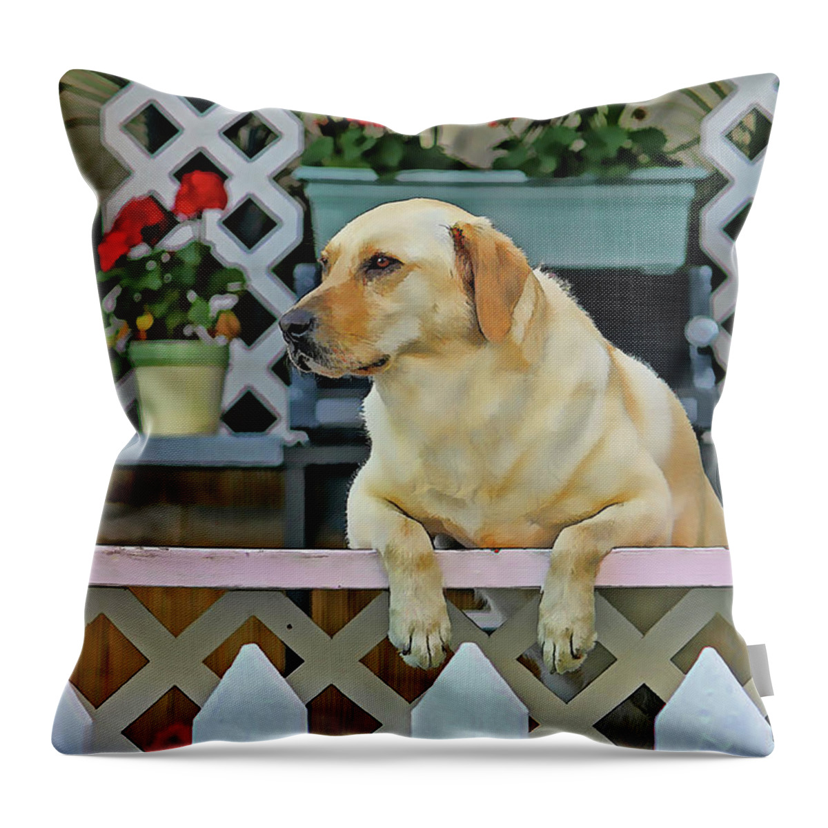 Labrador Retriever Throw Pillow featuring the photograph People Watching by HH Photography of Florida