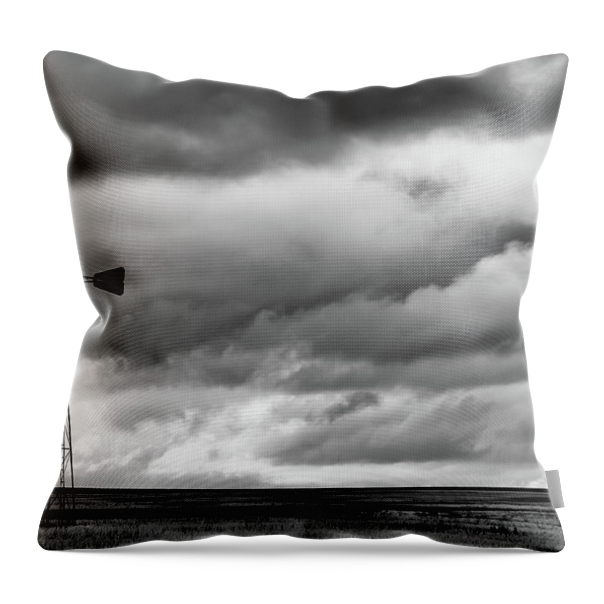 Sky Throw Pillow featuring the photograph Perched and Looking by Monte Stevens
