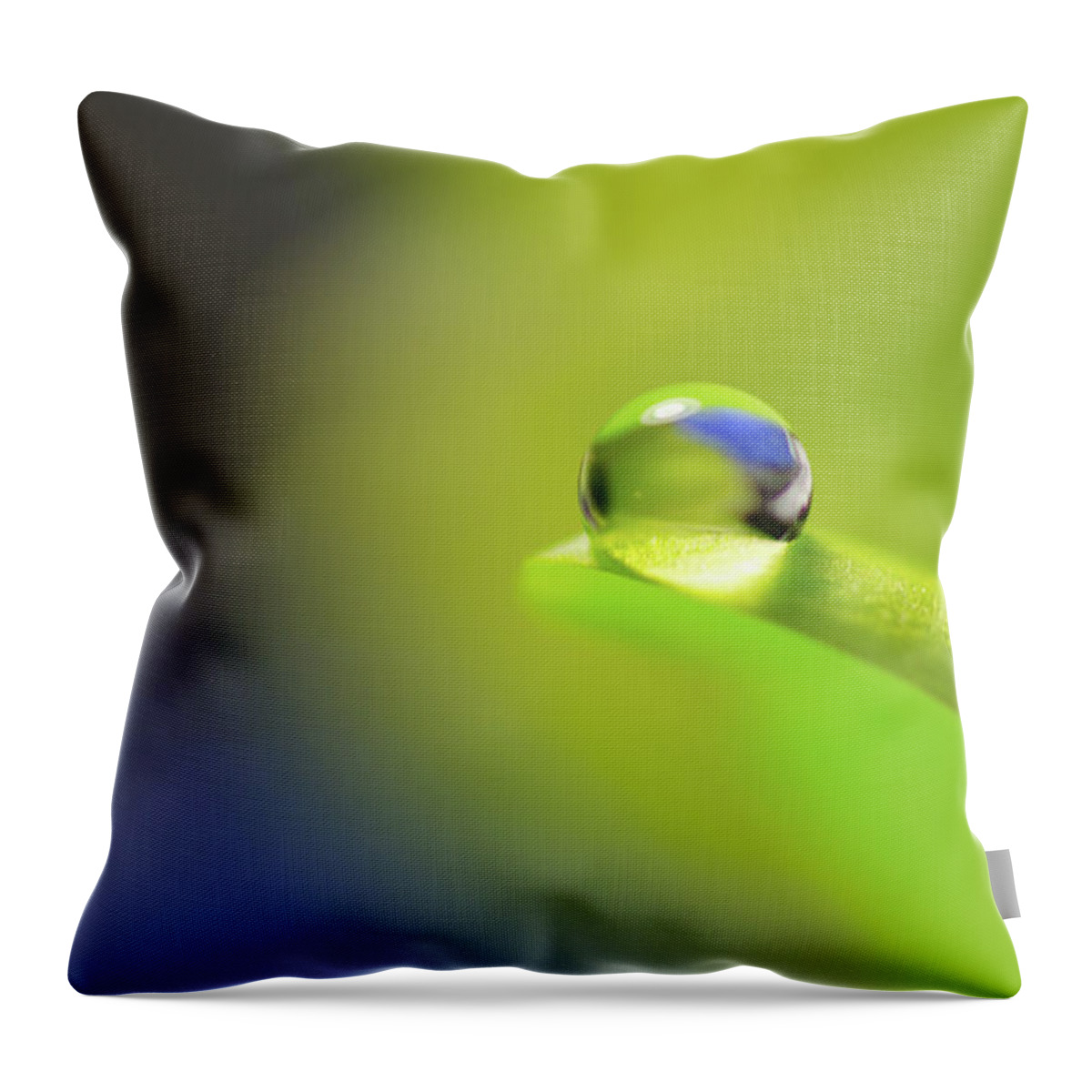 Bokeh Throw Pillow featuring the photograph Perched by Sandra Parlow