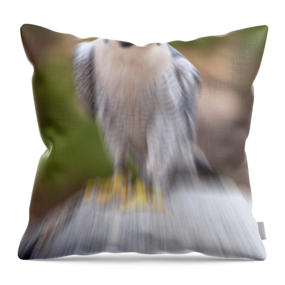 Falco Peregrinus Throw Pillow featuring the digital art Peregrine Falcon by Flees Photos