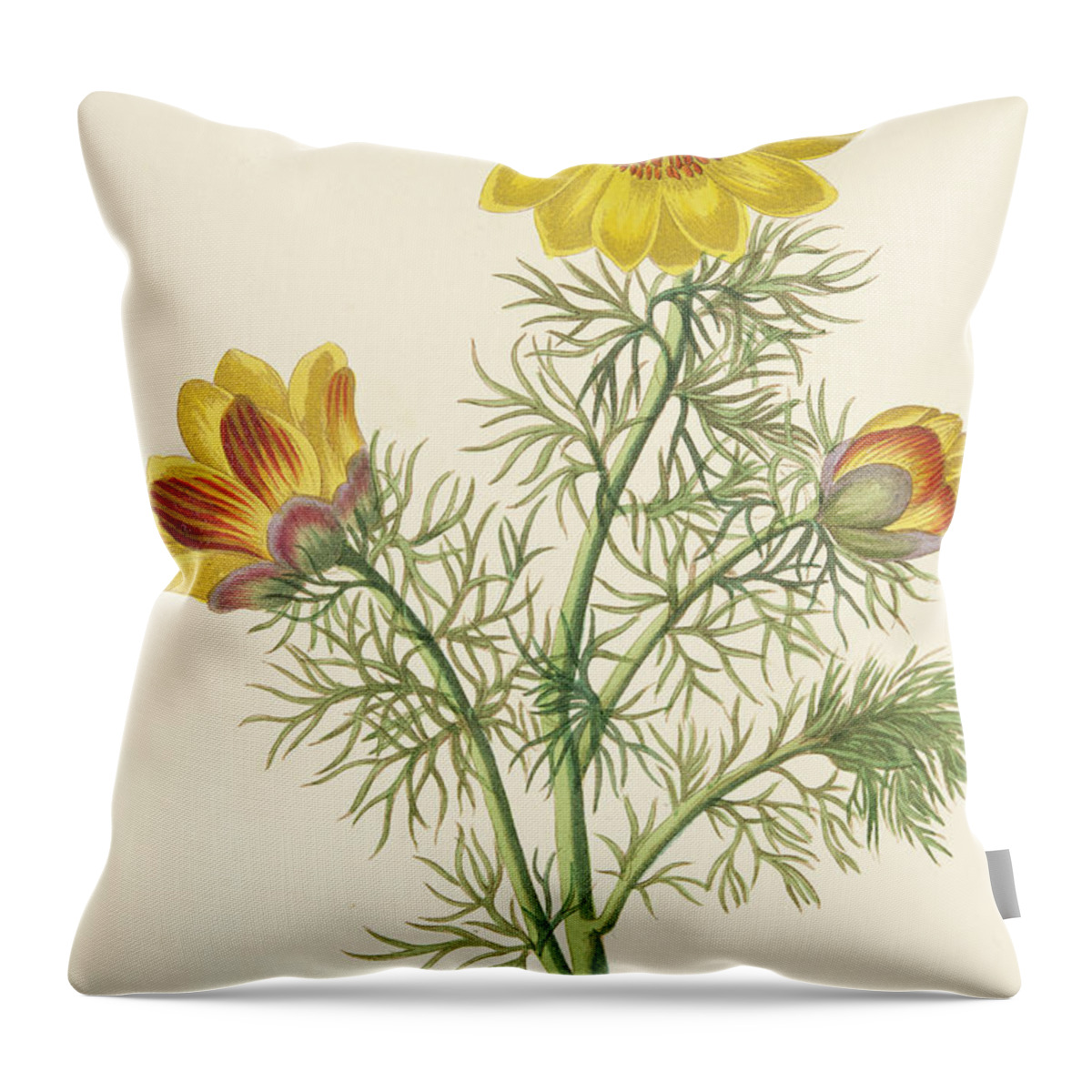 Perennial Adonis Throw Pillow featuring the painting Perennial Adonis by Pierre Puvis de Chavannes