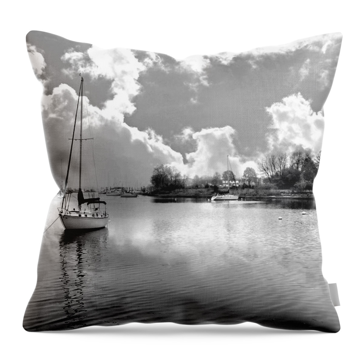 Landscape Throw Pillow featuring the photograph Perfect Combination by Diana Angstadt