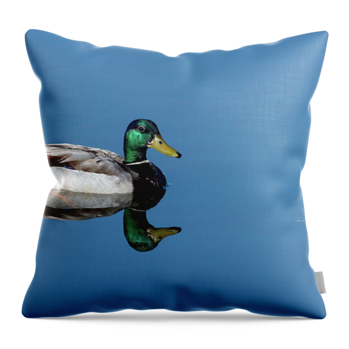 Duck Throw Pillow featuring the photograph Perfect Reflection by Sam Rino