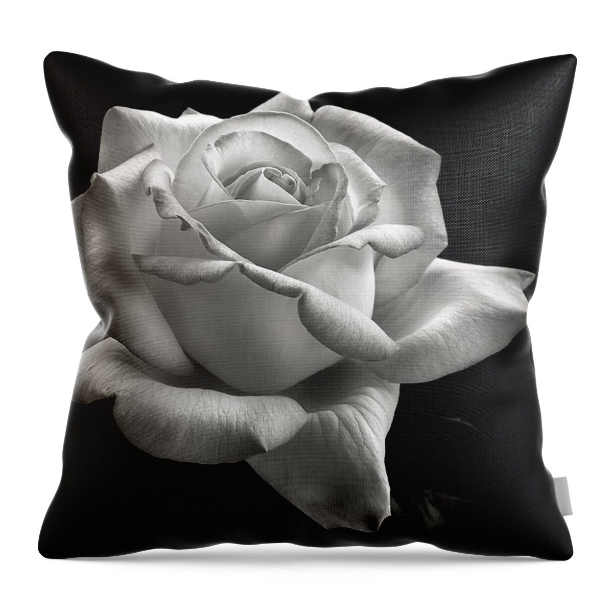 Perfect Rose Throw Pillow featuring the photograph Perfect Rose in Black and White by Endre Balogh