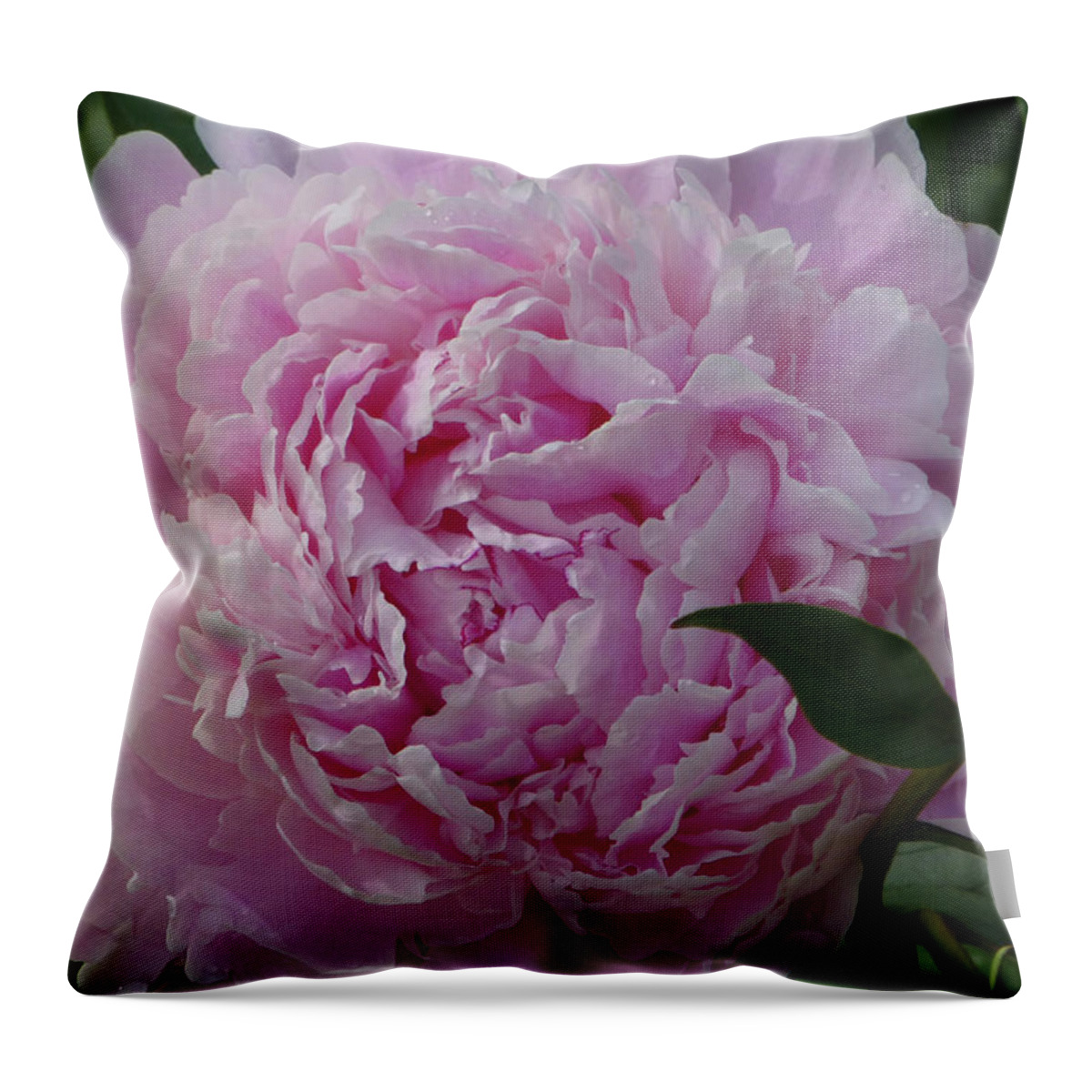 Flowers Throw Pillow featuring the photograph Perfection in Pink by Cris Fulton