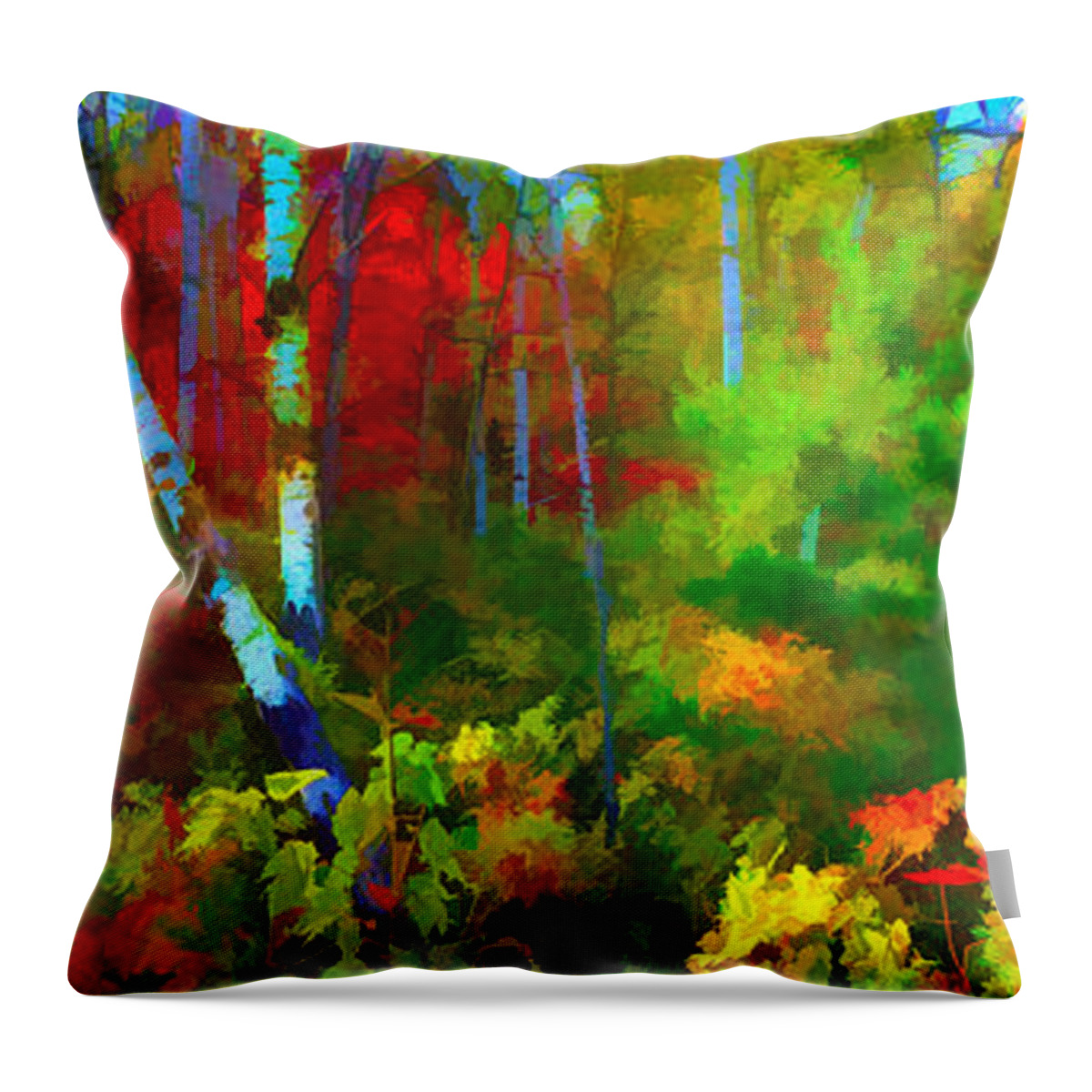 Peninsula State Park Throw Pillow featuring the photograph Peripheral by Rod Melotte