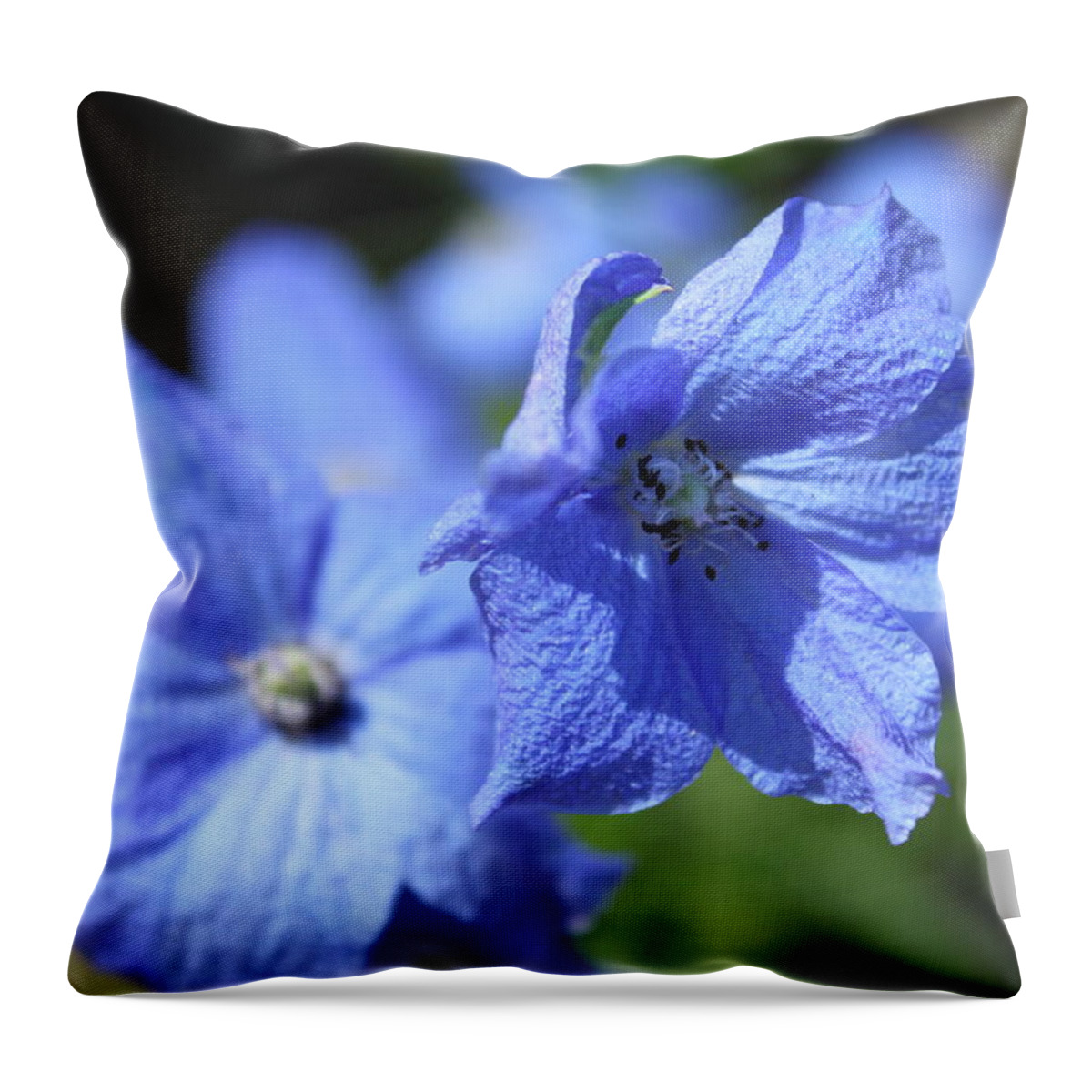 Flower Throw Pillow featuring the photograph Periwinkle Flower by Lauri Novak