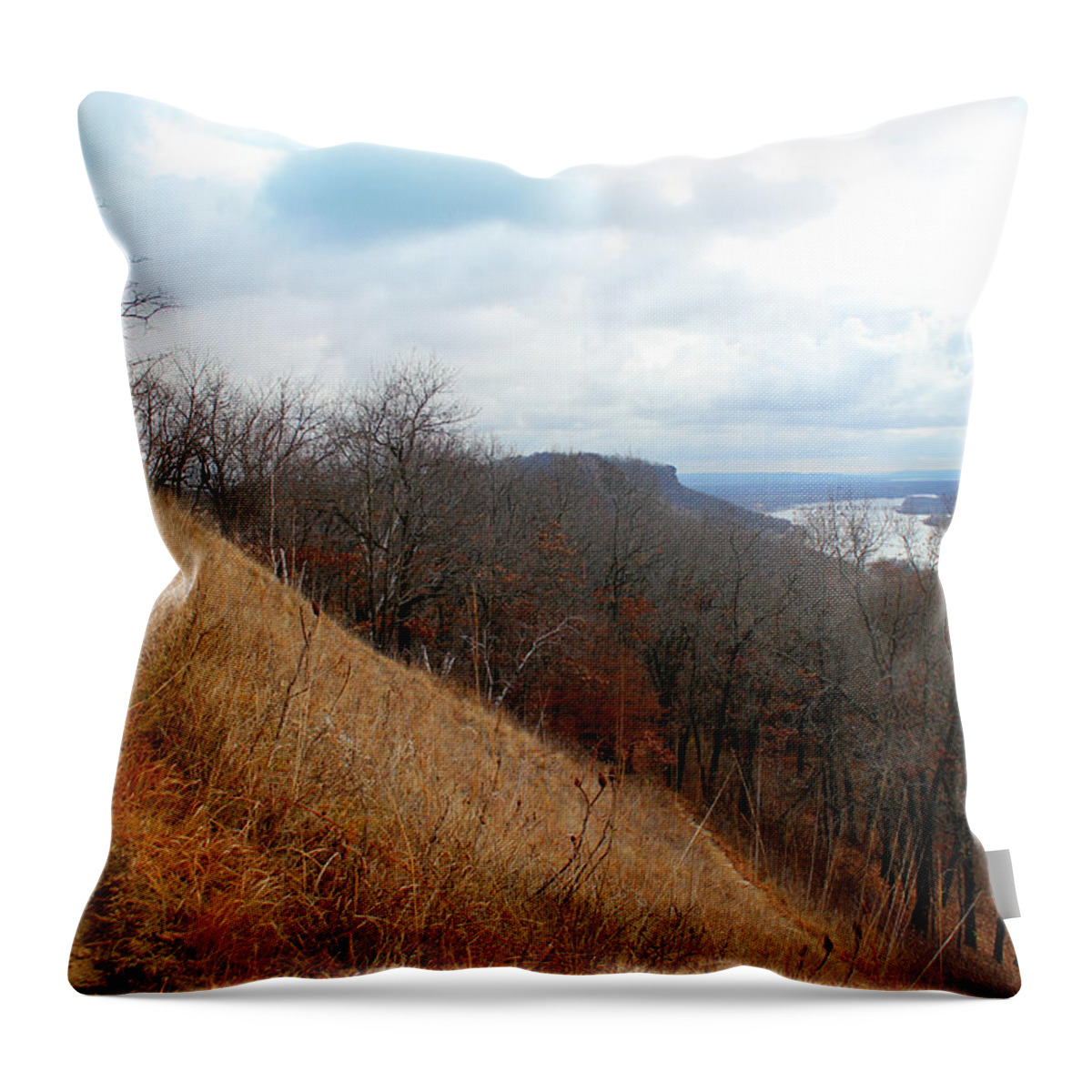 Nature Throw Pillow featuring the photograph Perrot State Park Mississippi River 5 by Brook Burling