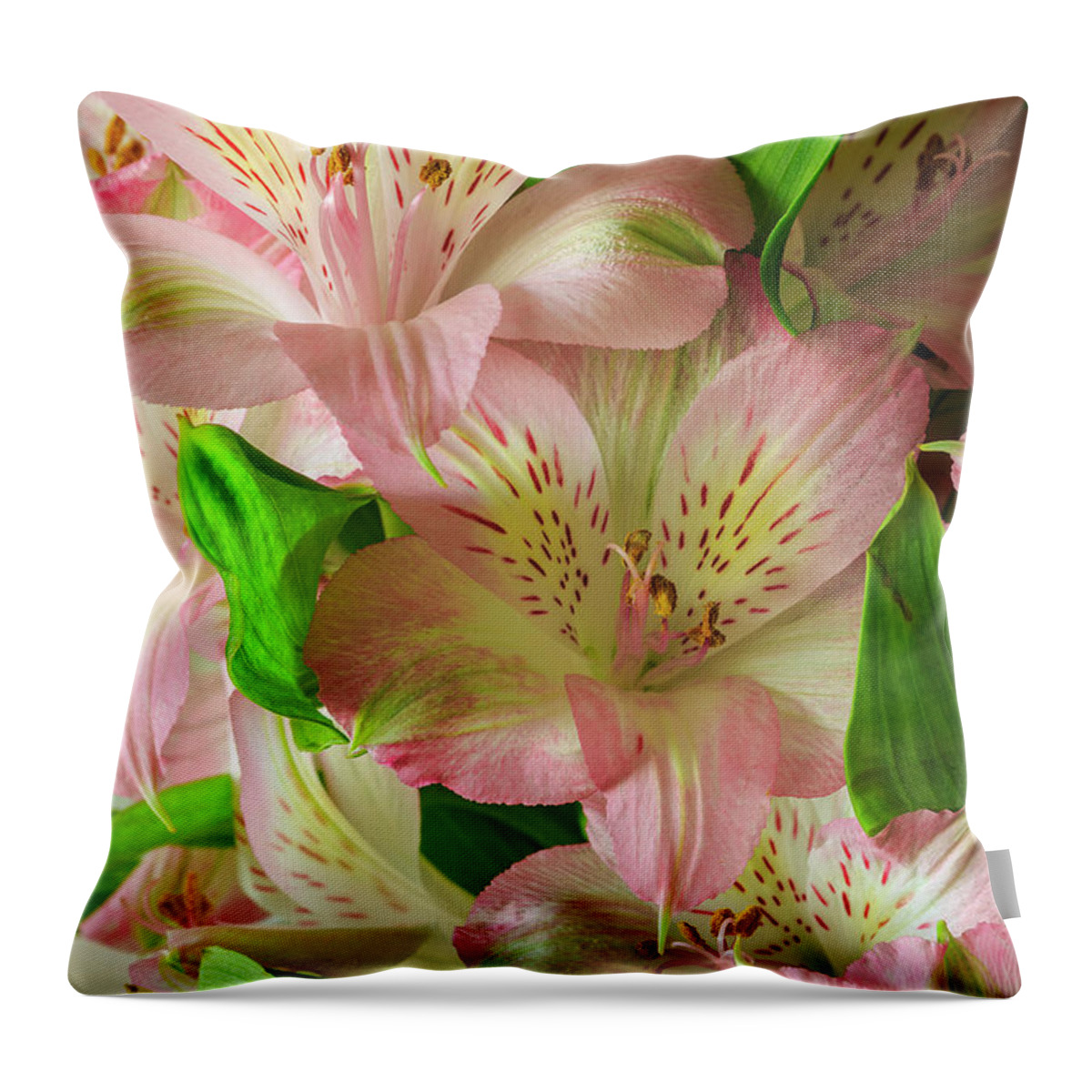 Peruvian Lilies Throw Pillow featuring the photograph Peruvian Lilies In Bloom by Richard J Thompson
