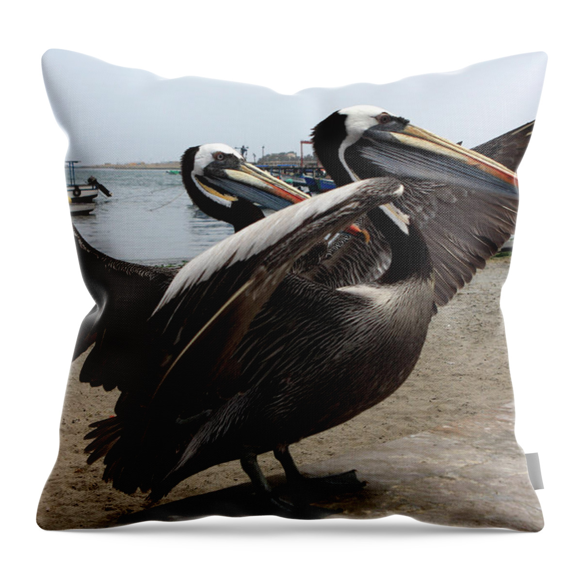 Pelican Throw Pillow featuring the photograph Peruvian Pelicans by Aidan Moran