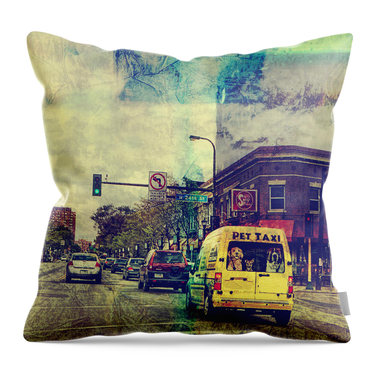 Mpls. Throw Pillow featuring the photograph Pet Taxi by Susan Stone