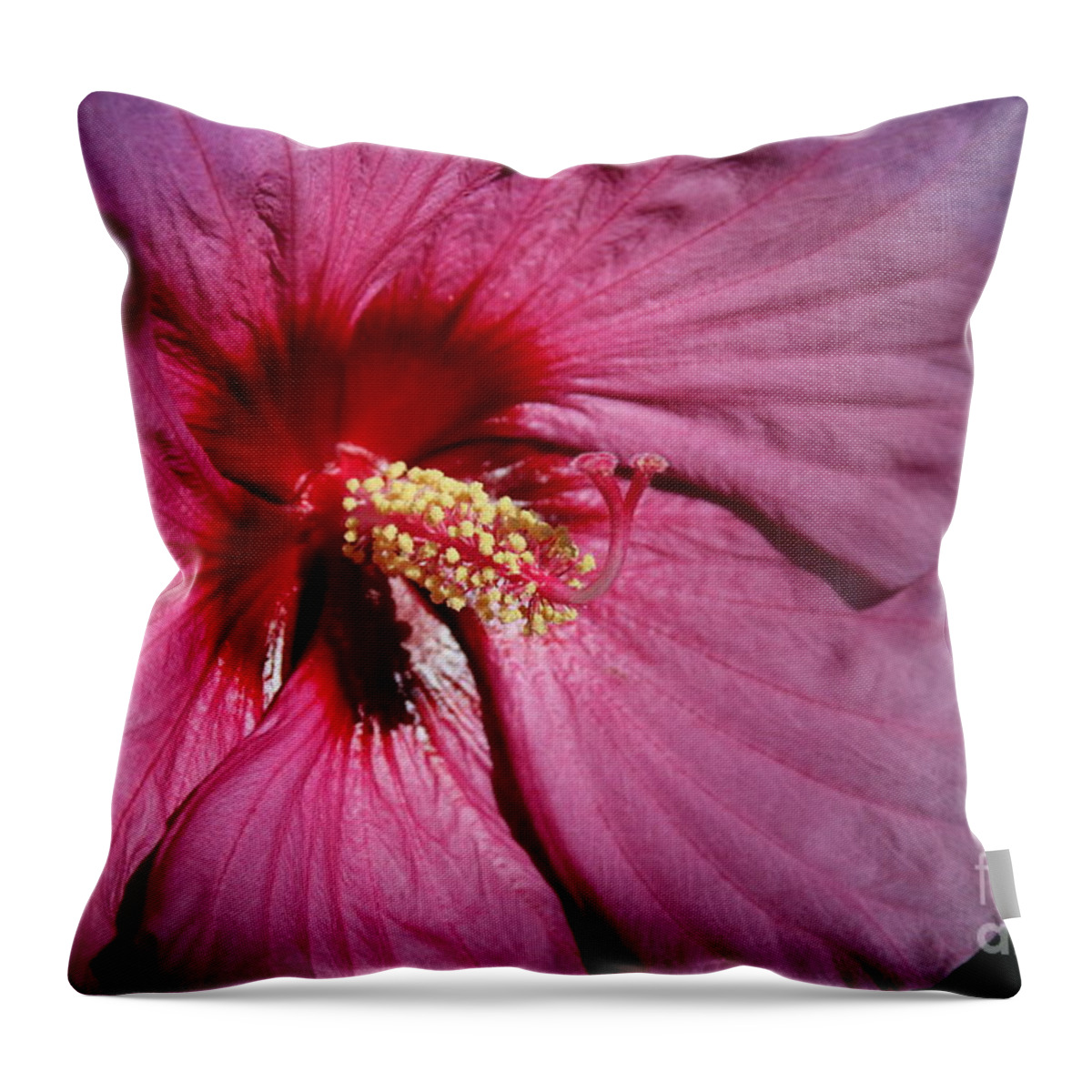 Flora Throw Pillow featuring the photograph Petal-ing around by Phil Cappiali Jr