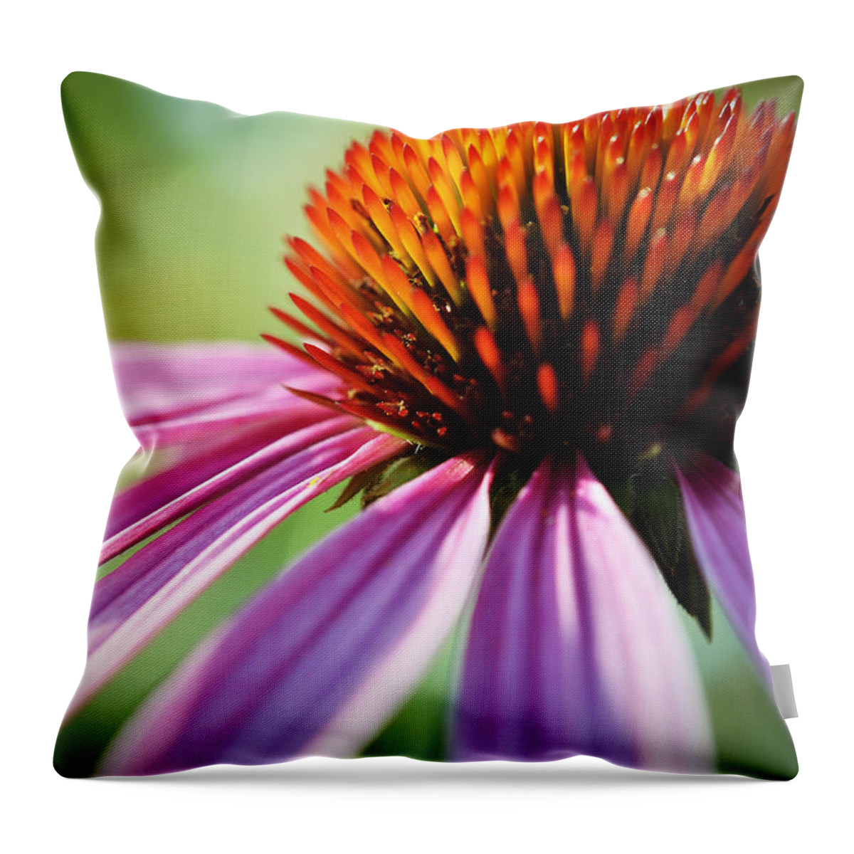 Flower Throw Pillow featuring the photograph Petal's Edge by Andrea Platt