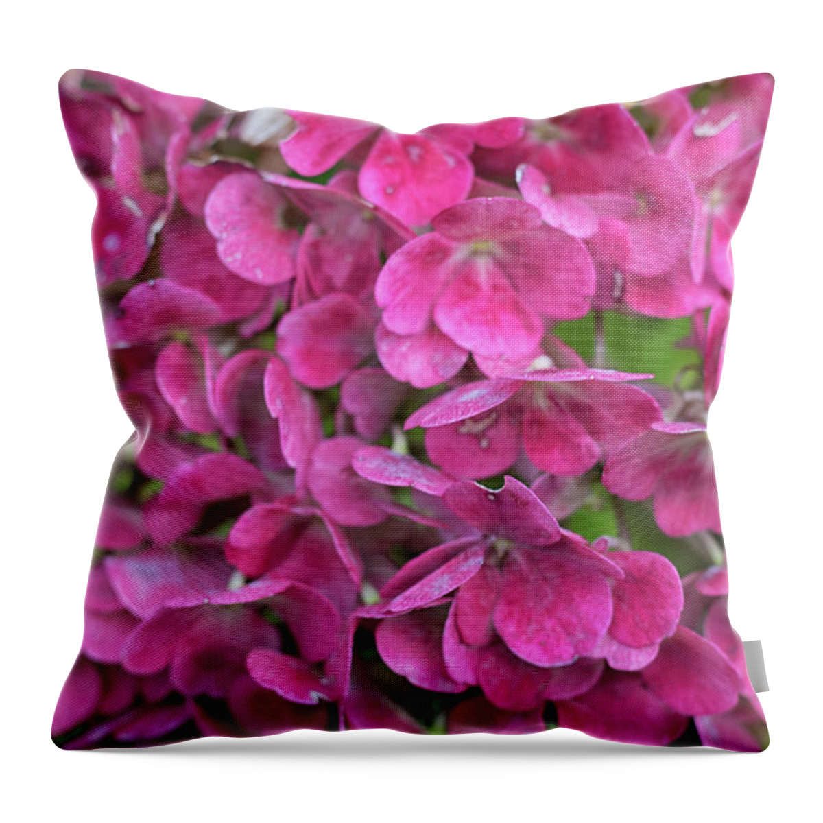 Plant Throw Pillow featuring the photograph Petals by Martin Newman