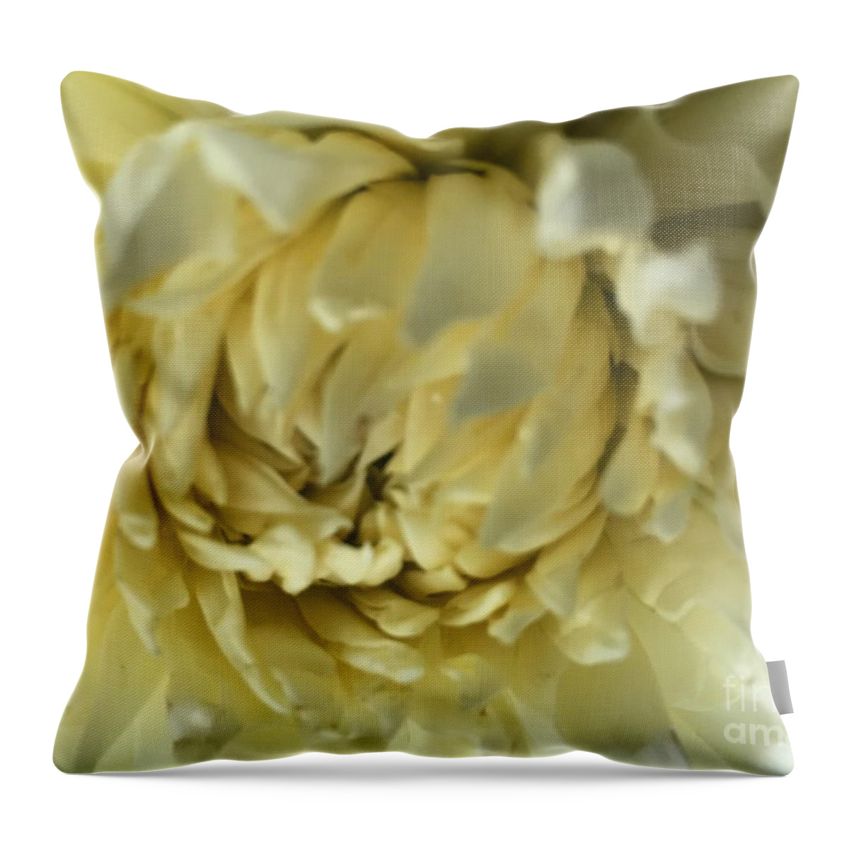 Flowers Throw Pillow featuring the photograph Petals by Nona Kumah