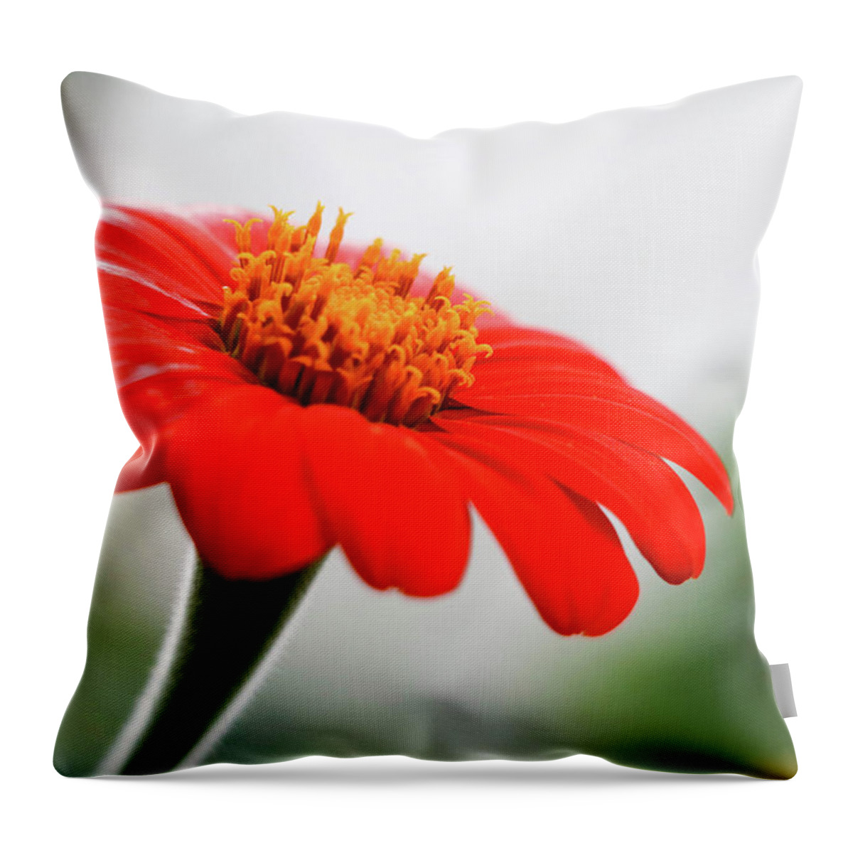 Flower Throw Pillow featuring the photograph Petals of Orange II by Mary Anne Delgado