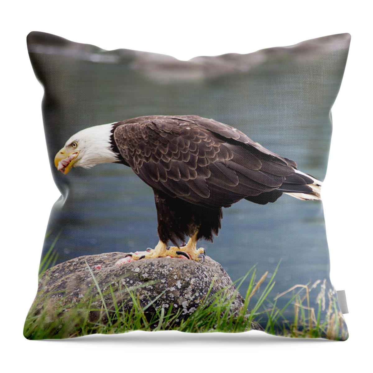 Eagle Throw Pillow featuring the photograph Petersburg AK Bald Eagle 4 by Louise Magno