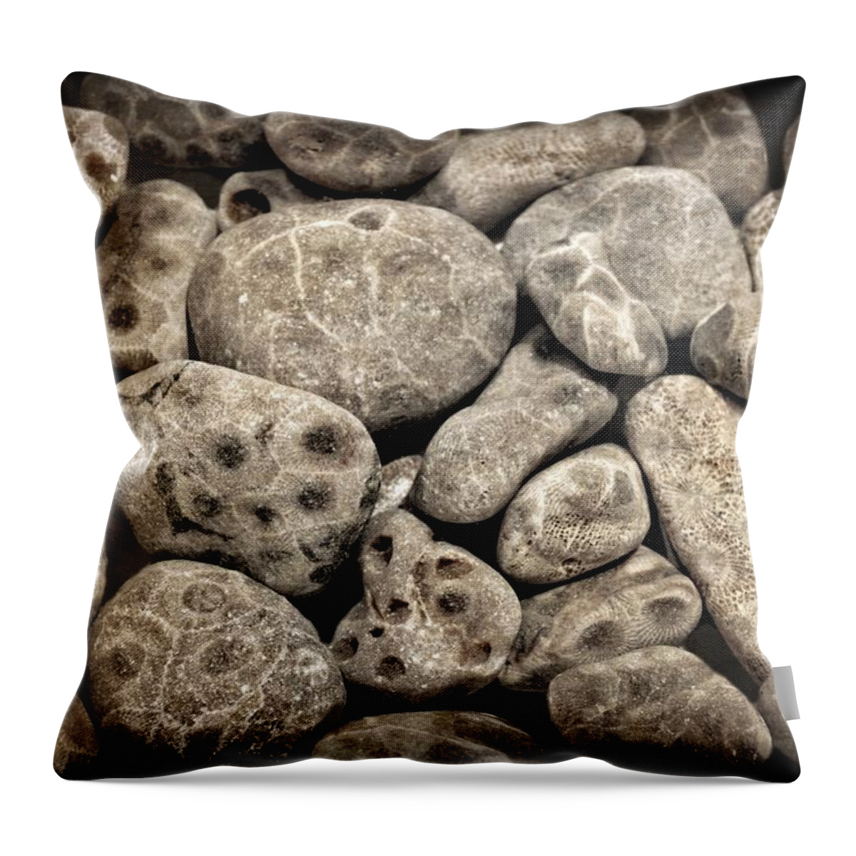 Stone Throw Pillow featuring the photograph Petoskey Stones Vl by Michelle Calkins