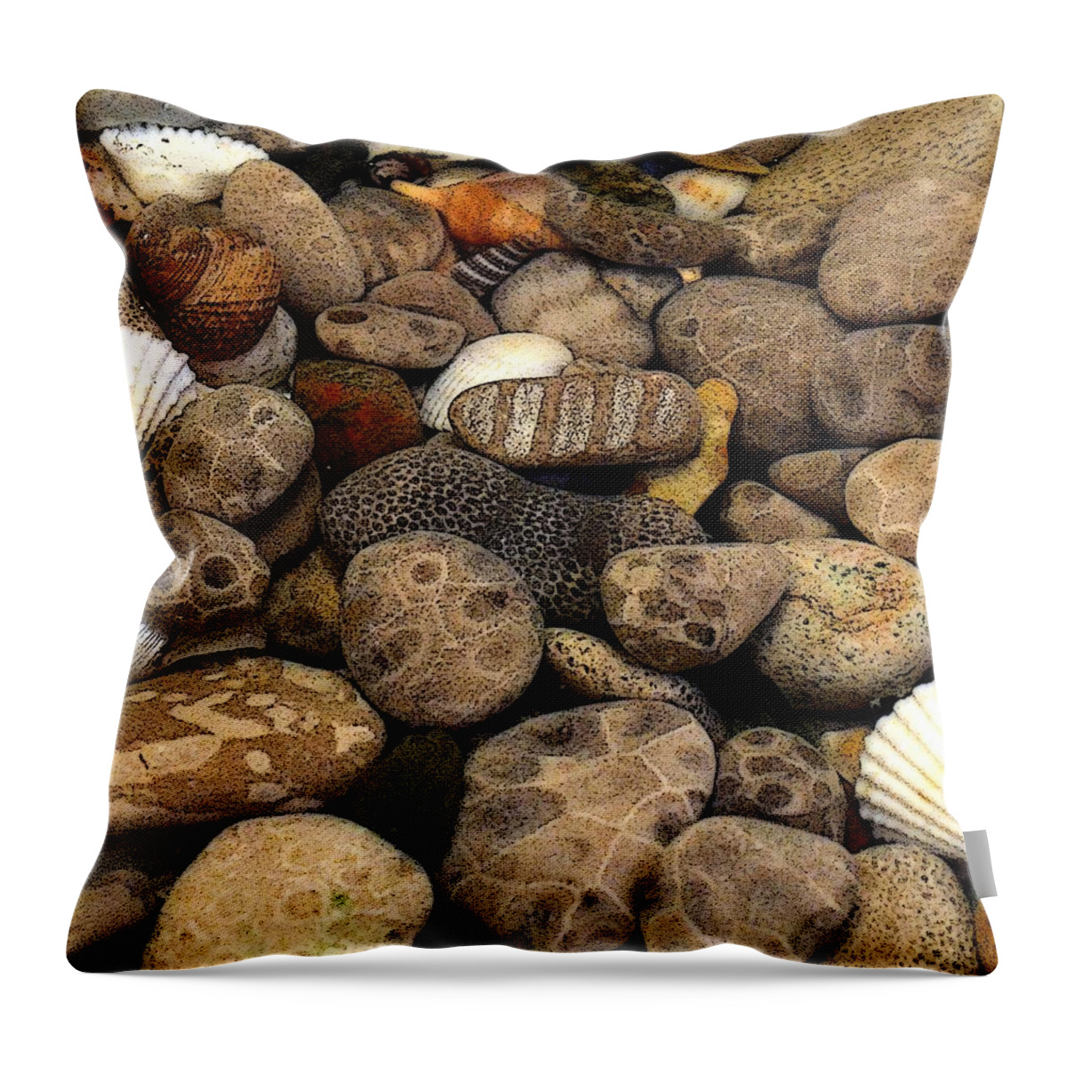 Stone Throw Pillow featuring the photograph Petoskey Stones with Shells l by Michelle Calkins