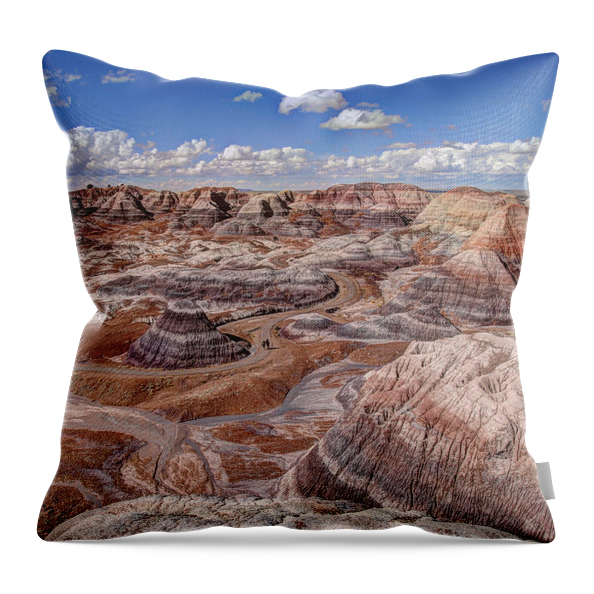 Arizona Throw Pillow featuring the photograph Petrified Forest Blue Mesa by Karen Smale