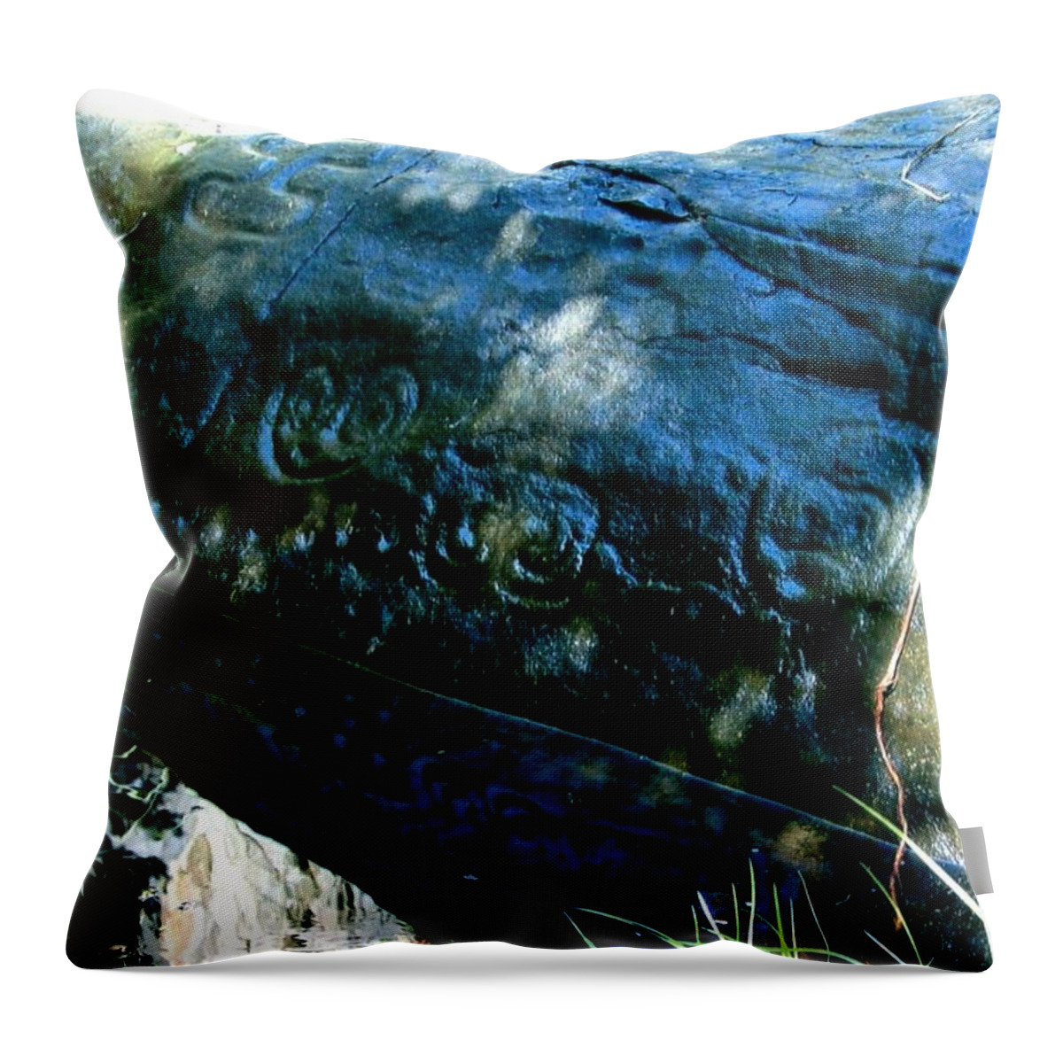 Caribbean Throw Pillow featuring the photograph Petroglyphs by Robert Nickologianis