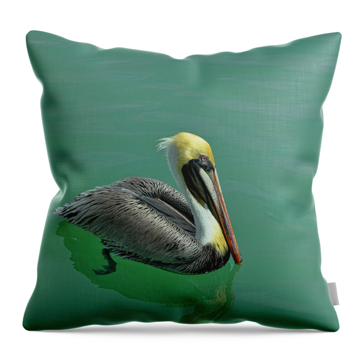 Archipelago Throw Pillow featuring the photograph Petros Cousin by JAMART Photography
