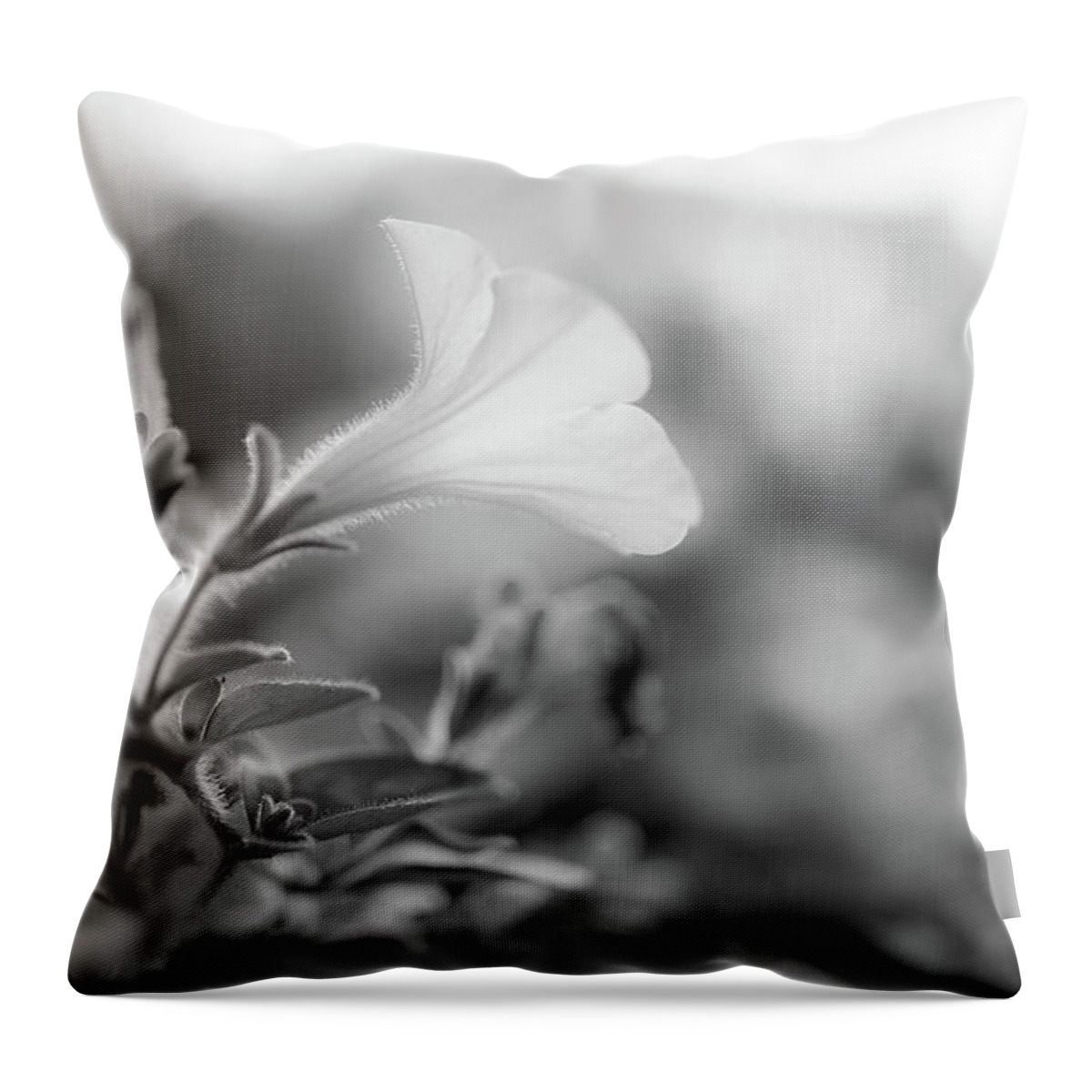 Petunia Throw Pillow featuring the photograph Petunia Impressions by Bob Orsillo