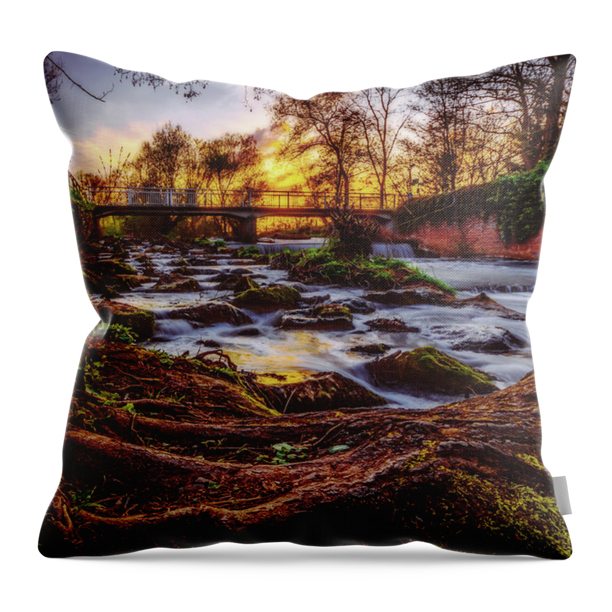 Worms Throw Pillow featuring the photograph Pfrimm by Marc Braner