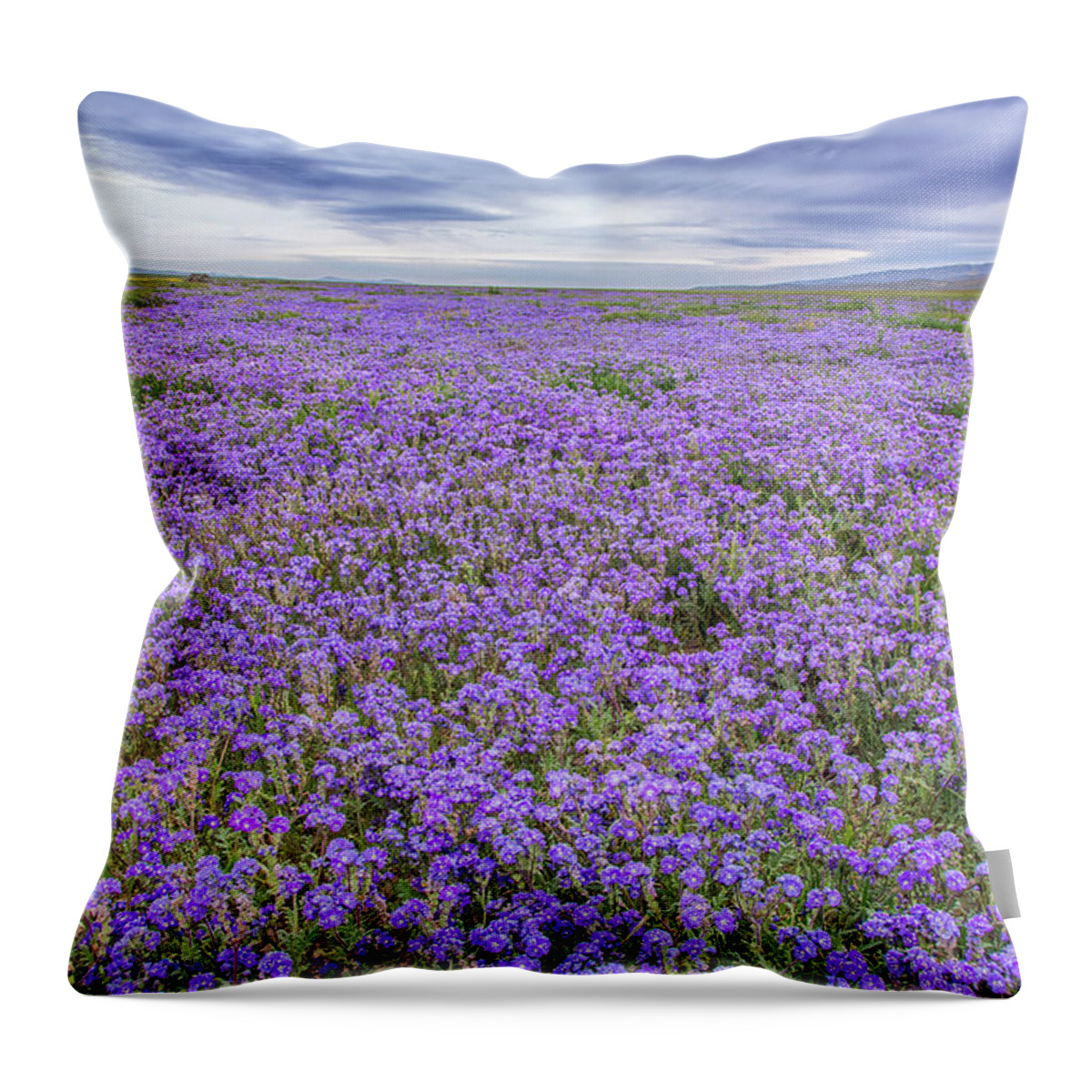 California Throw Pillow featuring the photograph Phacelia Field and Clouds by Marc Crumpler