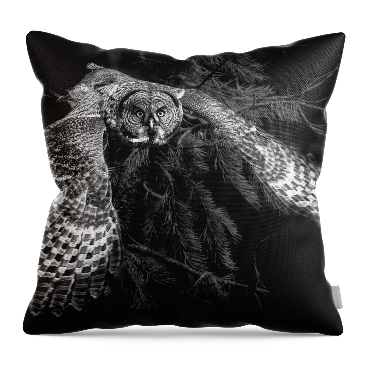 Phantom Of The North Throw Pillow featuring the photograph Phantom of the North by Wes and Dotty Weber