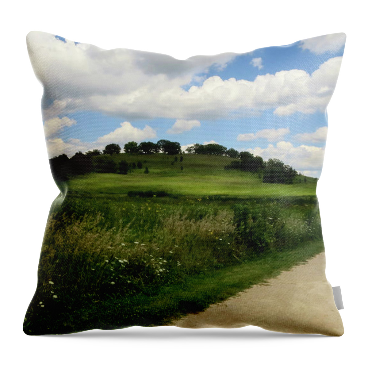  Throw Pillow featuring the photograph Pheasant Branch Hill by Kimberly Mackowski