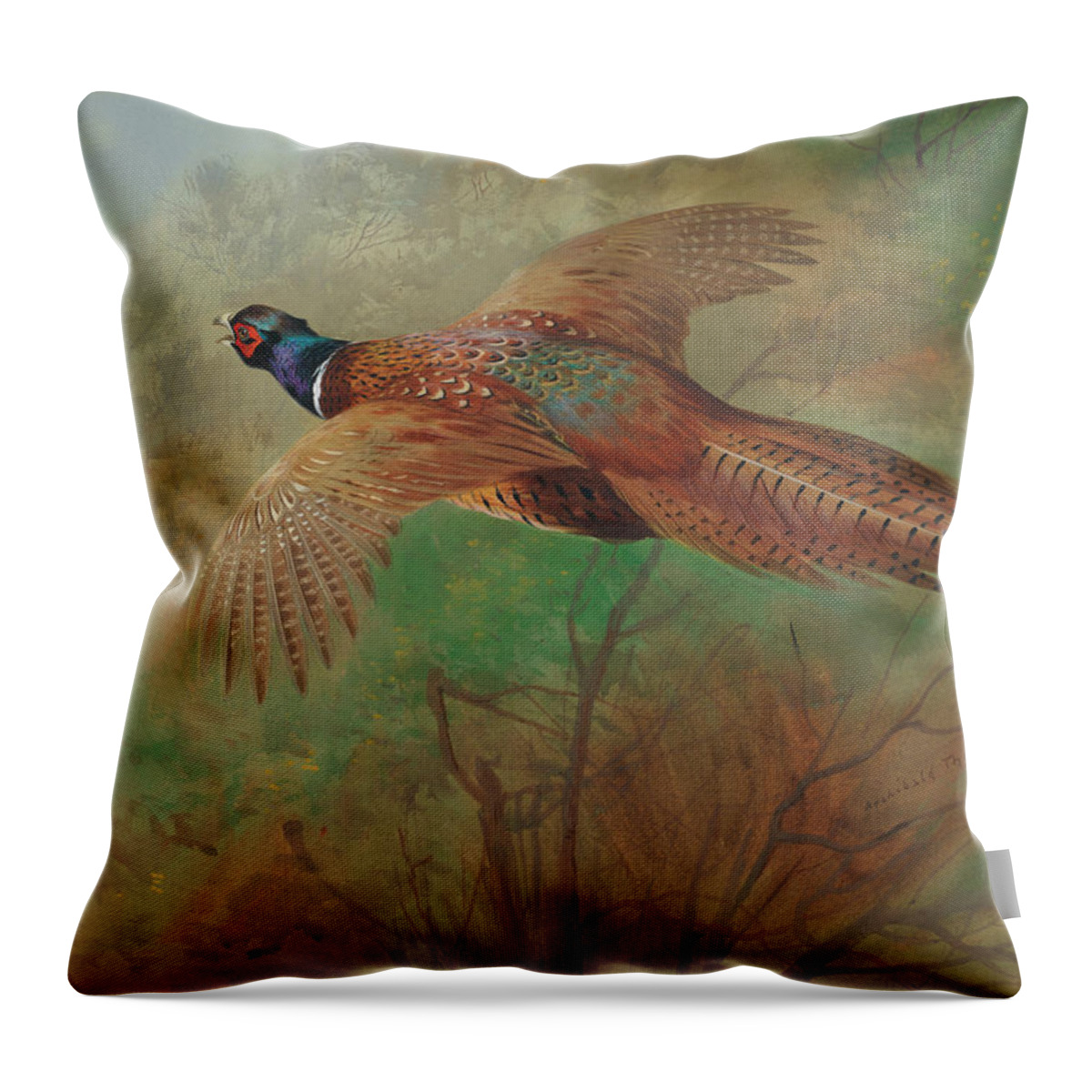 Season Throw Pillow featuring the painting Pheasant in flight by Archibald Thorburn