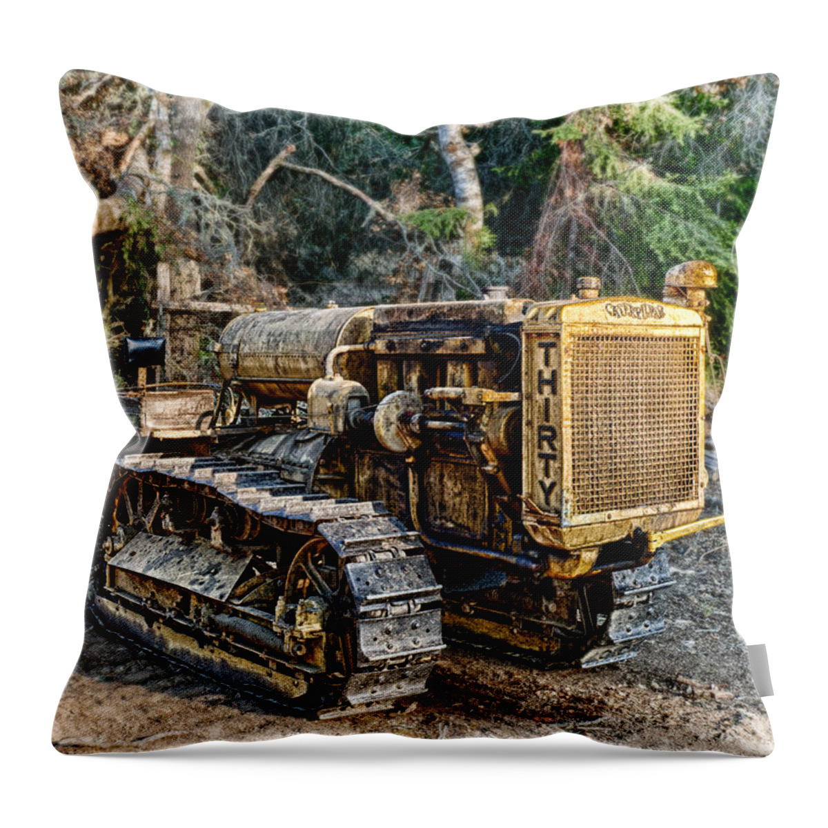 Tractor Throw Pillow featuring the photograph Philo Cat by Betty Depee