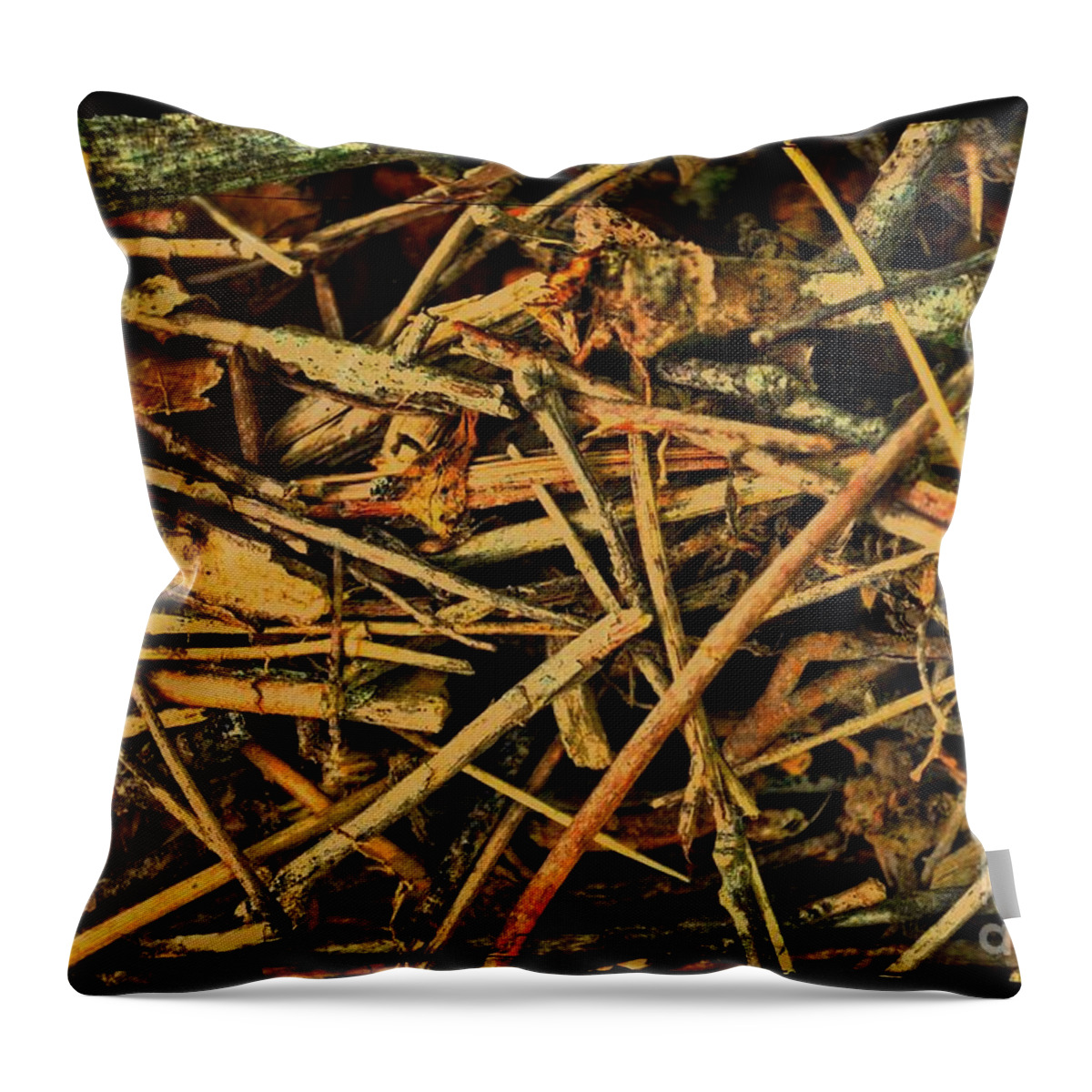 Nature Throw Pillow featuring the photograph Pick Up Sticks III by Debbie Portwood