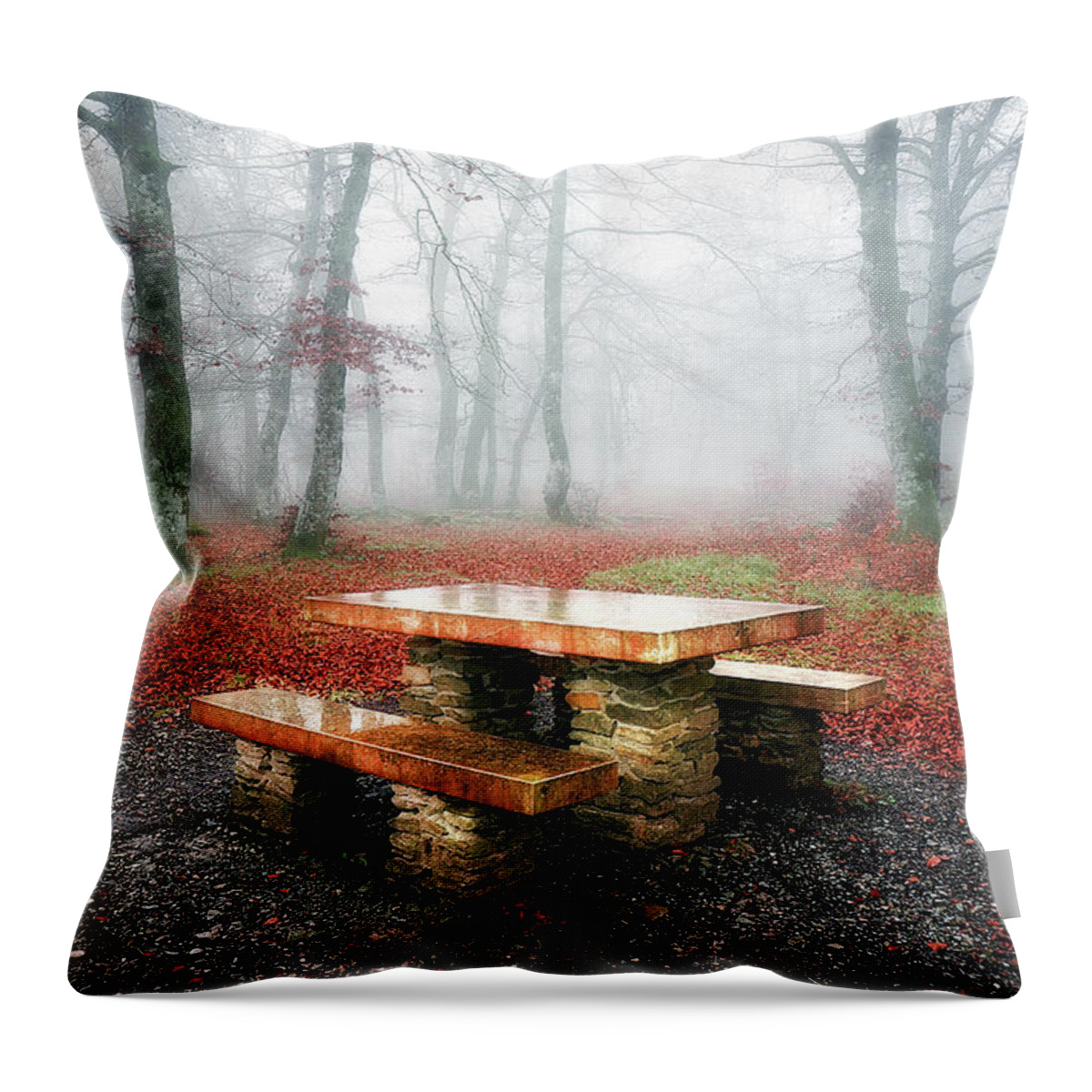 Picnic Throw Pillow featuring the photograph Picnic of fog by Mikel Martinez de Osaba