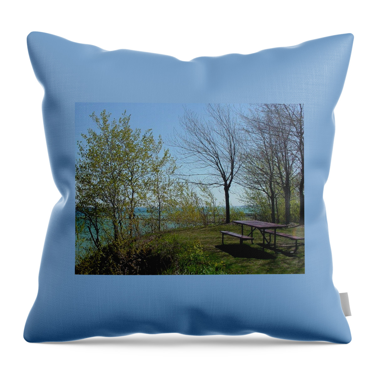 Lake View Throw Pillow featuring the photograph Picnic table by the Lake photo by Anita Burgermeister